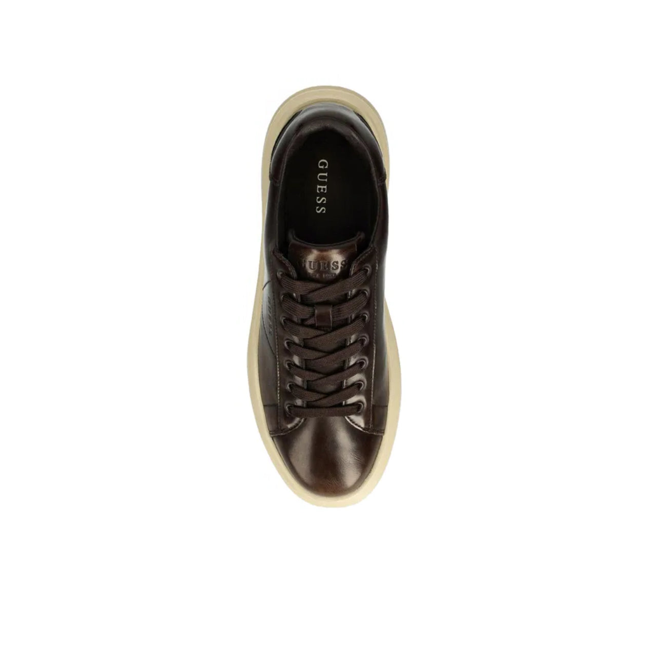 Sneakers Guess Uomo Elba Brushed Marrone