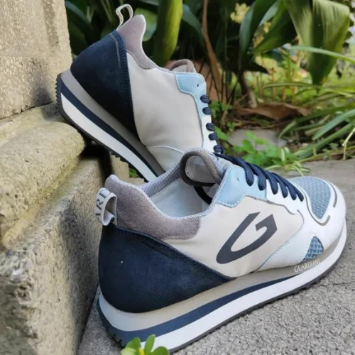 GUARDIANI